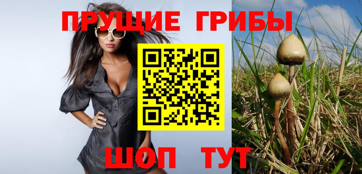 сколько стоит  Псилоцибиновые грибы Psilocybe  Вход с VPN  Домодедово 